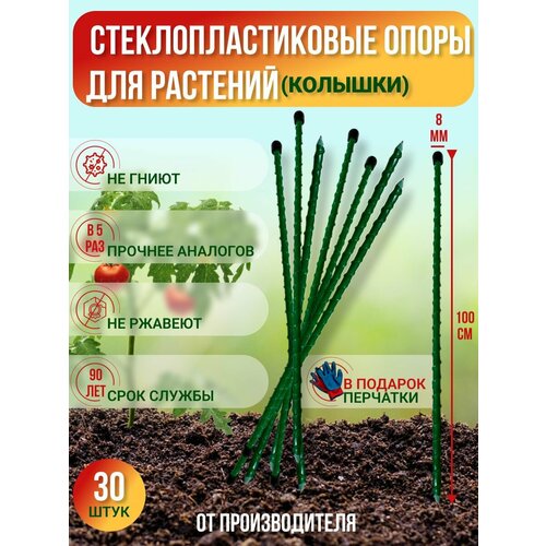 ���� ����������� ������� ����� ��� �������� �� �������������� (�������) D 8��, ����� 1�, �������� 30��, ������������-������, ������ �� 2250 ���