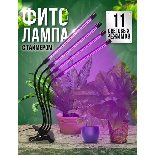 ���� ��������� ��� �������� ������� �������, ������������ ����� ��� �������, �������������� ��� ������, 4 ������, ������ �� 1100 ���