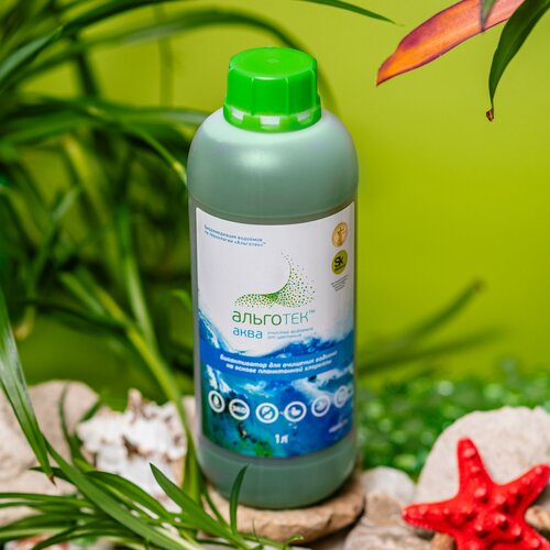 ���� �������� ��� ����� - �������� ���� 1 �, ������ �� 715 ���