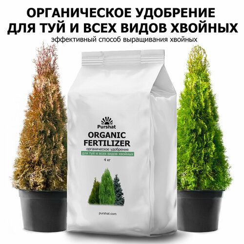     4        -  ,   1162 