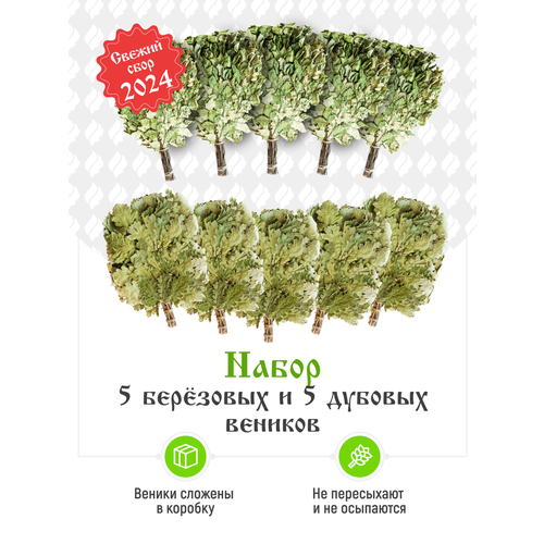 ���� ����� ��� ���� ��������� � ������� �� 5 ����, ������ �� 3500 ���