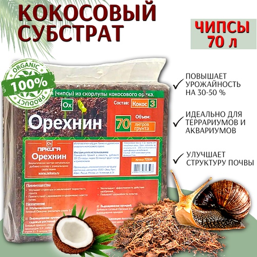 ���� ������� ��������� �������� �������-3 ������ 70 ������ �����, ������ �� 1845 ���