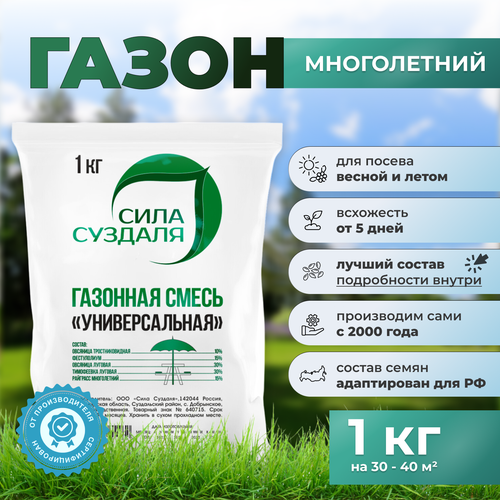 ���� ���� �������, ������ �������� ����� 