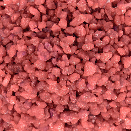 ���� ����������� ����� ��� ��������, ����������� � ��������, Zoo One, ��������� ��������, 