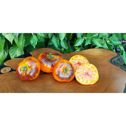 ���� ������ ������ ����-���� (Chupa Chups) / Seeds And Goods / � �������� zip-lock ��� ���������� 10 �����, ������ �� 269 ���