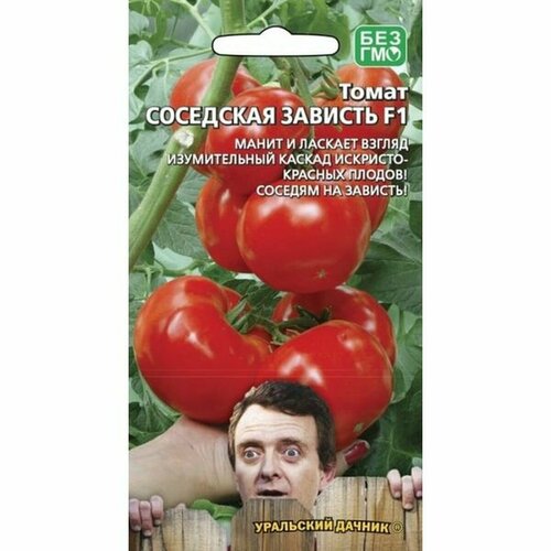 ���� ������ ����� ��������� ������� F1, ������������, 12��, ������ �� 64 ���