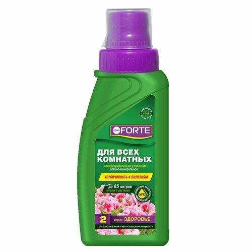   Bona Forte   , 285 ,  ,   434 