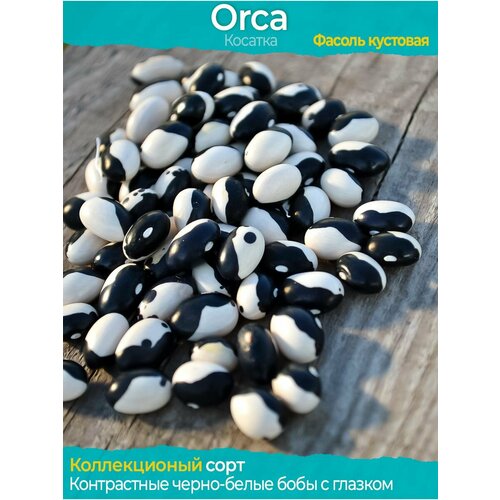  Orca -  ,   275 