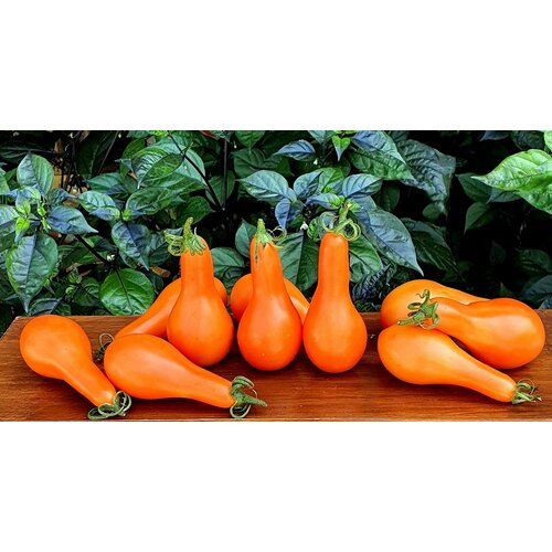     (Mila) / Seeds And Goods /   zip-lock   10 ,   269 