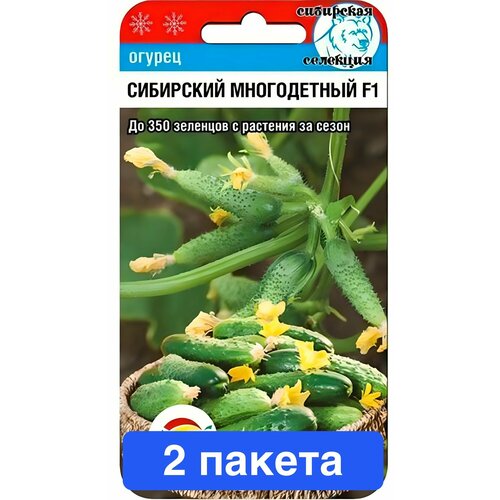 ���� ������ ������ ��������� ��� 