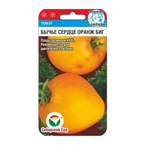 ���� ������ ����� ����� ������ ����� ��� 20�� (��������� ���), ������ �� 56 ���