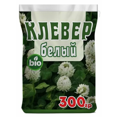 ���� ������ ����� ��������, �������� ������ ������ ��������, ����� �����, ������ �� 1100 ���