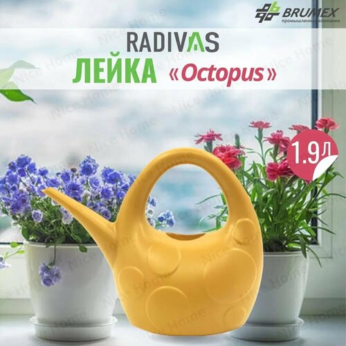  Radivas     Octopus  H1-01-37,   ,   316 