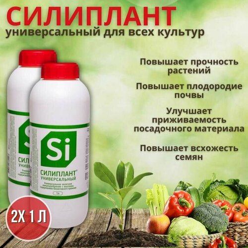 ���� ������������� ����������������� ������ �������������� ��������� 1�, 2 ��, ������ �� 3622 ���