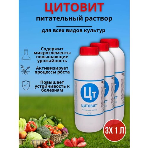 ���� ��������� ��������� ����� � �������� ��������, �������� ����� � �������������� ������� 1 �, 3 ��, ������ �� 5831 ���