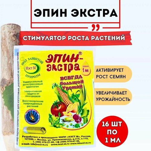 ���� ���� � ��������� ���� ������ ��� �������� 1 ��, 16 ��, ������ �� 707 ���