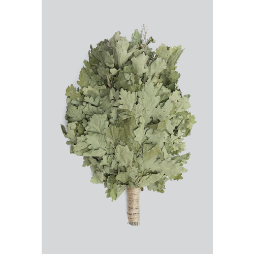 ���� ������ ��� ���� � �����, ������ �� 589 ���