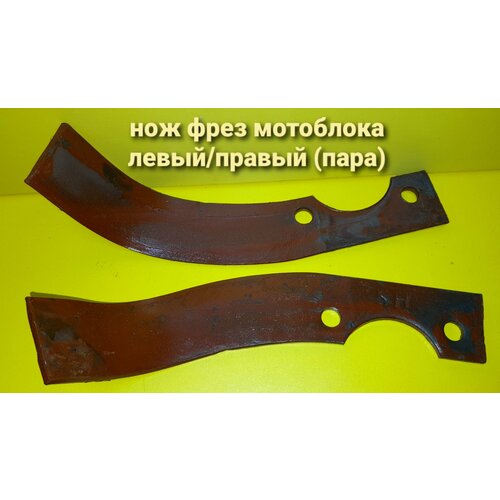 ���� ��� ���� ��������� ����� +������ (��������), ������ �� 799 ���