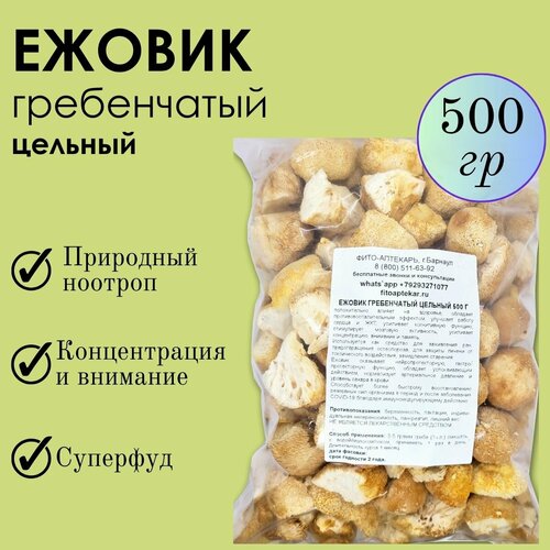 ���� ���� ������ 