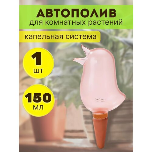 ���� ��������� ��������� ��������, ������, ��������� �����, ����� ��������� ���� �������, ������ �� 350 ���