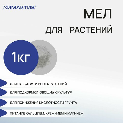 ���� ��������� ��� ��� �������� (1 ��), ������������ �����, ������ �� 462 ���