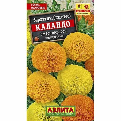    , , . () () 0,3,   44 