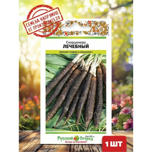 ���� ��������� ��������, ������ �� 194 ���