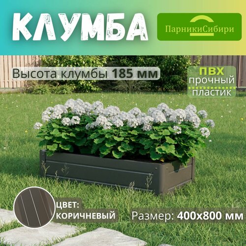 ���� ������� ������/������ �� ���, ��������, 