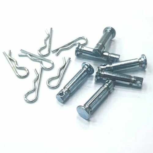 ���� ����� ����� ������� �� �������� ��� ������������� CHAMPION (���. KC21-01-03), �������� �� 6 ��, ������ �� 900 ���