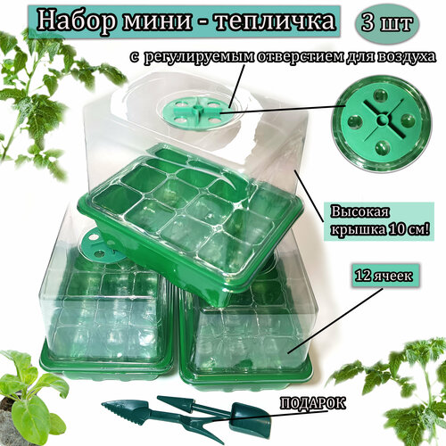 ���� ����� ����-�������� ��� ������� 3 ��. ������� ������. �������������� ����������., ������ �� 1100 ���