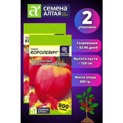 ���� ����� ��������� 2 ��, ������ �����, ������������ ���������, ������ �� 229 ���