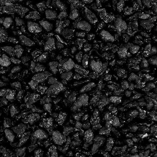 ���� ����������� ����� ��� ��������, ����������� � ��������, Zoo One, ��������� ��������, 