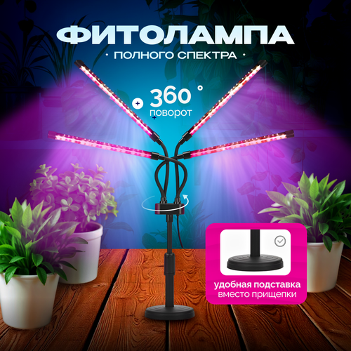 ���� ��������� ��� �������� ������� ������� �� ��������� � ������������ �� ������, 4 �����-�������, 60 ��, ������ �� 3200 ���