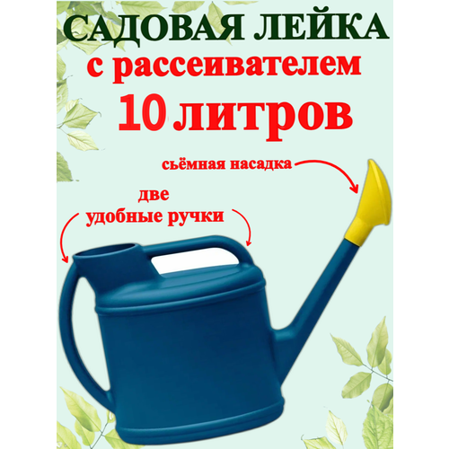 ���� ����� ������� 10�. ������������, ������ �� 669 ���