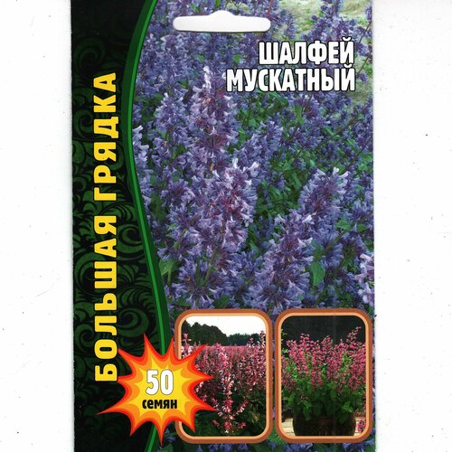 ���� ������ ���������, ����������� ( 1 ��: 50 ����� ), ������ �� 298 ���