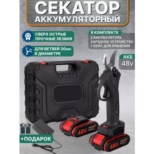 ���� ������� �������������� ������� ����� ��������������, ������ �� 3999 ���