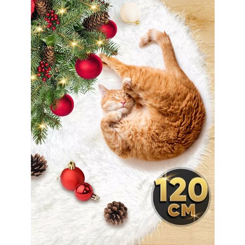 ���� ������ ��� ���� ���������� ���� ��� ���� �����, 120 ��, ������ �� 1244 ���