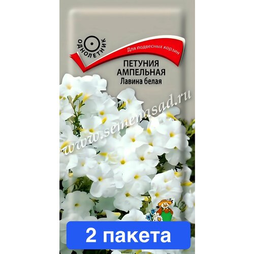 ���� ����� ������� ��������� ������ ����� F1 ����� 2 ������, ������ �� 447 ���