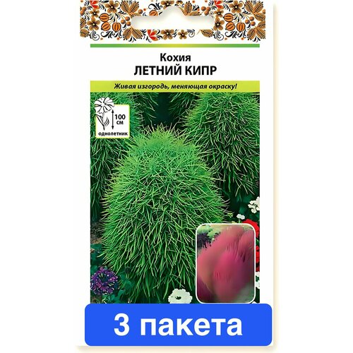 ���� ����� ����� ������ ���� 3 ������, ������ �� 559 ���