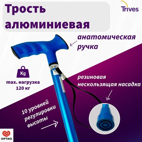 ���� ������ ��������������� Trives ����� NOVA � ������������� ������ � ��������, ���� �����, ������ �� 2900 ���