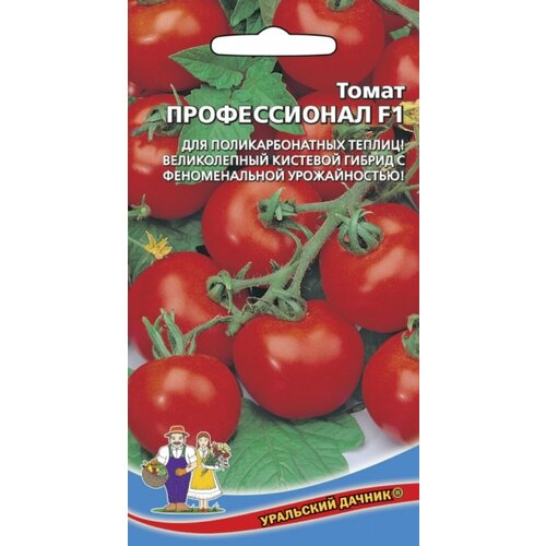 ���� ������ ����� ������������ F1 12�� ����� ������ (��������� ������), ������ �� 48 ���