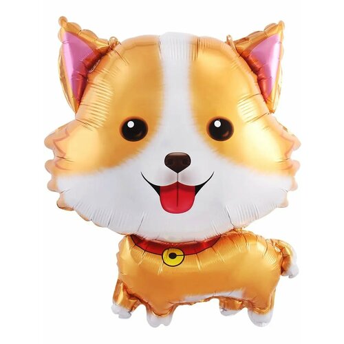   (27'/69 ) ,  , 1 .,   250 