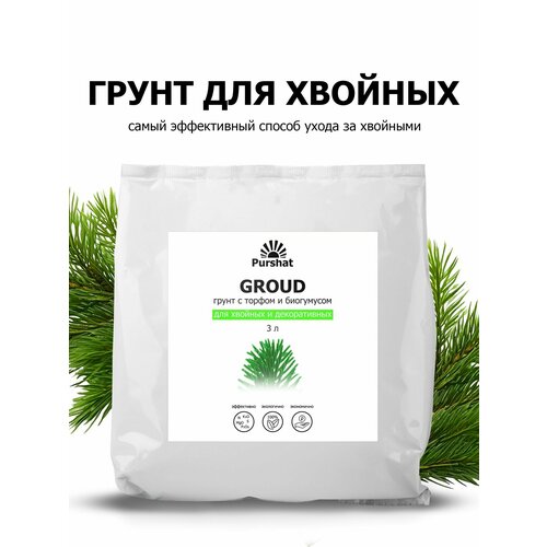 ���� ����� (�����) ��� ������� �������� � �������� ������. ���������� � ������ � ���������� (Purshat) 3 �, ������ �� 615 ���