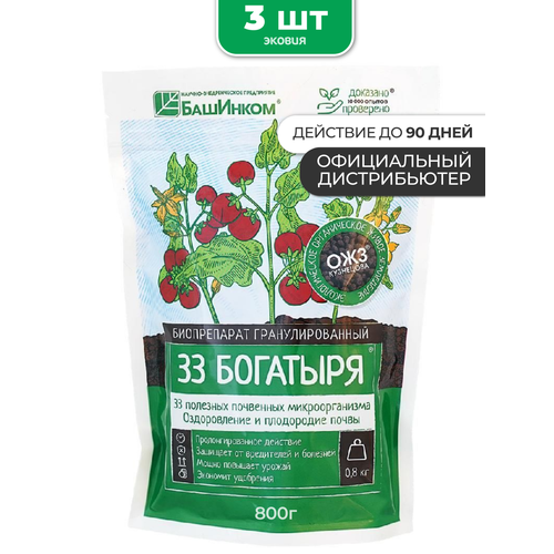 ���� ��������� 33 �������� � �������� 3 ��, ������ �� 1423 ���