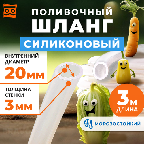 ���� ����� ��� ������ ����������� ���������� (3 �����) ������� 20�� (3/4