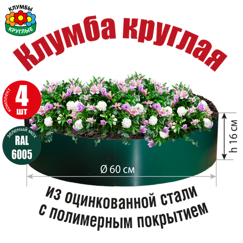 ���� ������ ������� ������� �� ������������ ����� � ���������� ���������, ������ �� 3100 ���