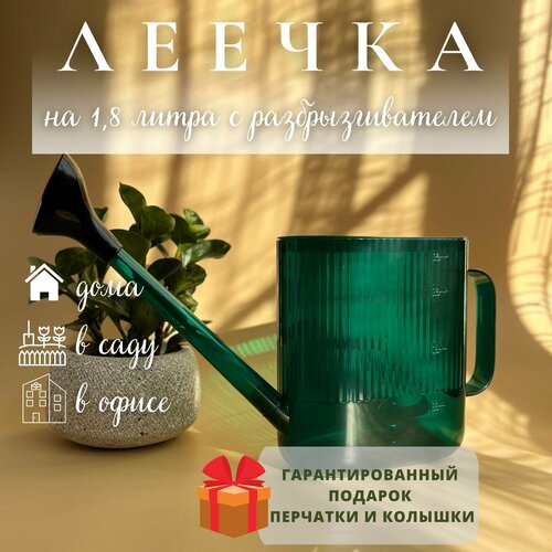 ���� ����� ��� ������ � �������� 1,8 �����, ������ �� 1100 ���