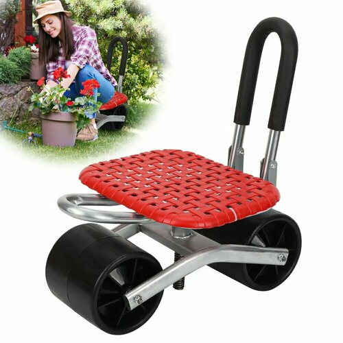 ���� ������� ����, ������ �� 2900 ���