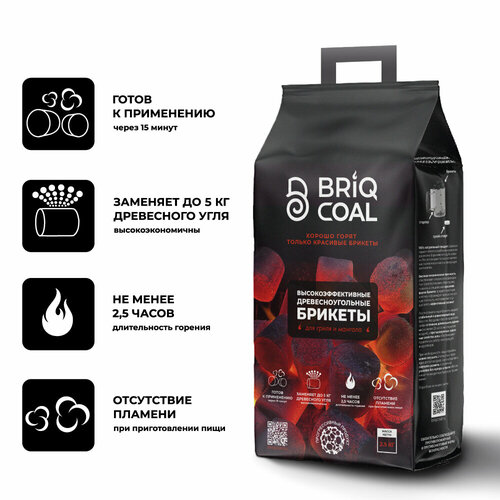 ���� BriqPACK 2.5 �� - ����������������� ���������������� ������� BRIQCOAL, ������ �� 550 ���