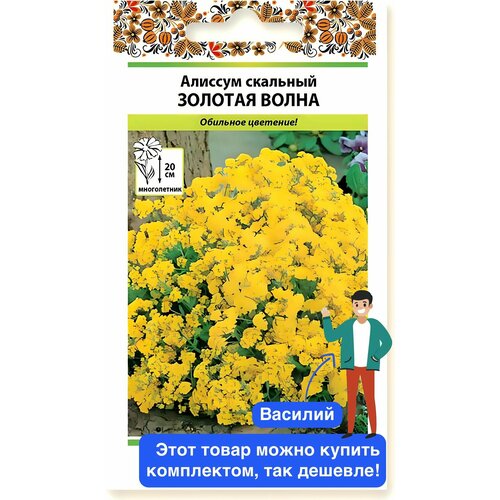 ���� ������ ������ ������� ������ 